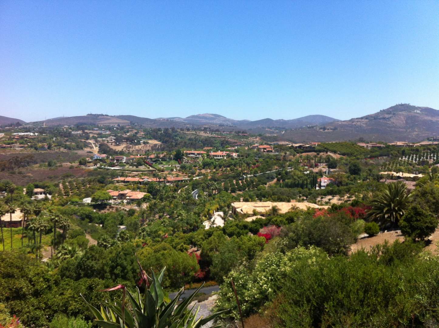 Rancho Santa Fe Farms Homes for Sale