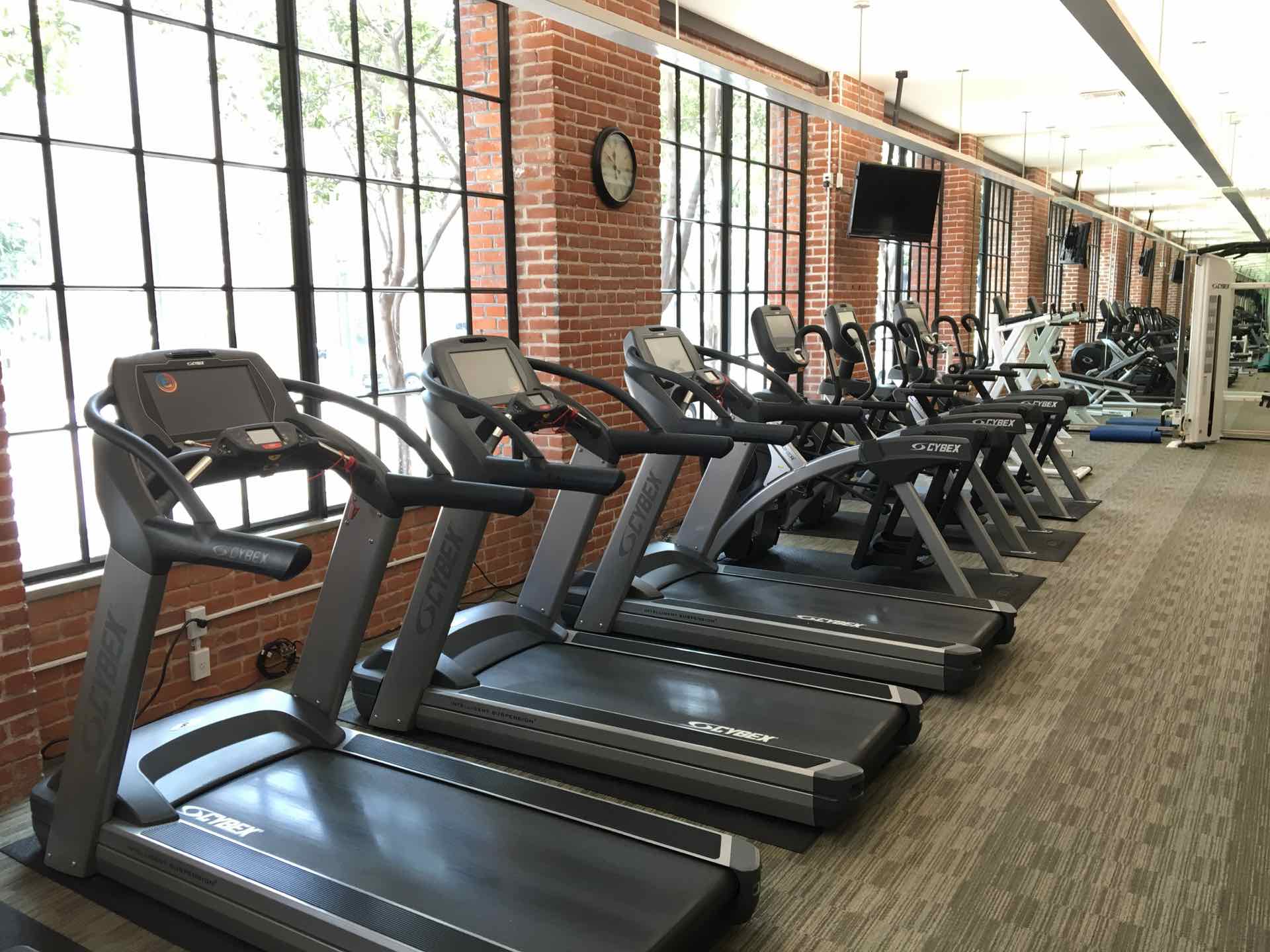 cardio equipment in the gym