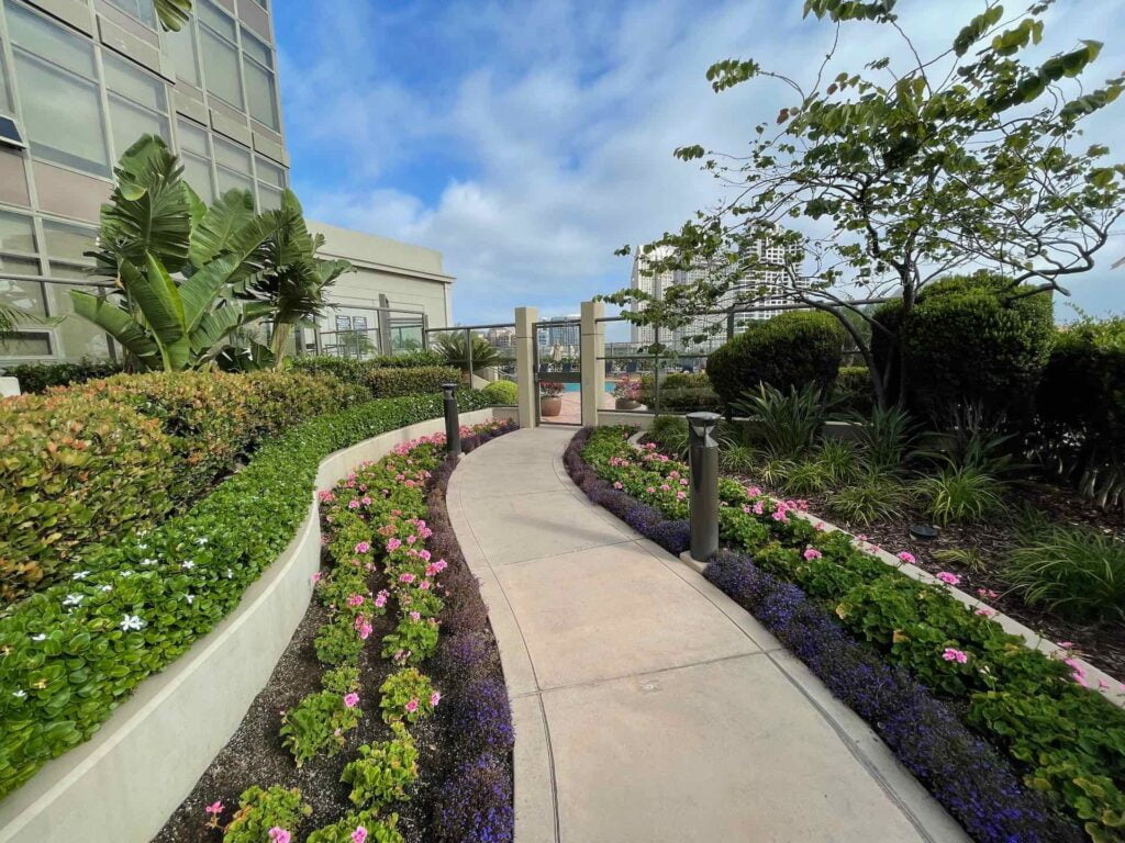 Lush Lanscaping walkway next to pool common area amenity at Electra