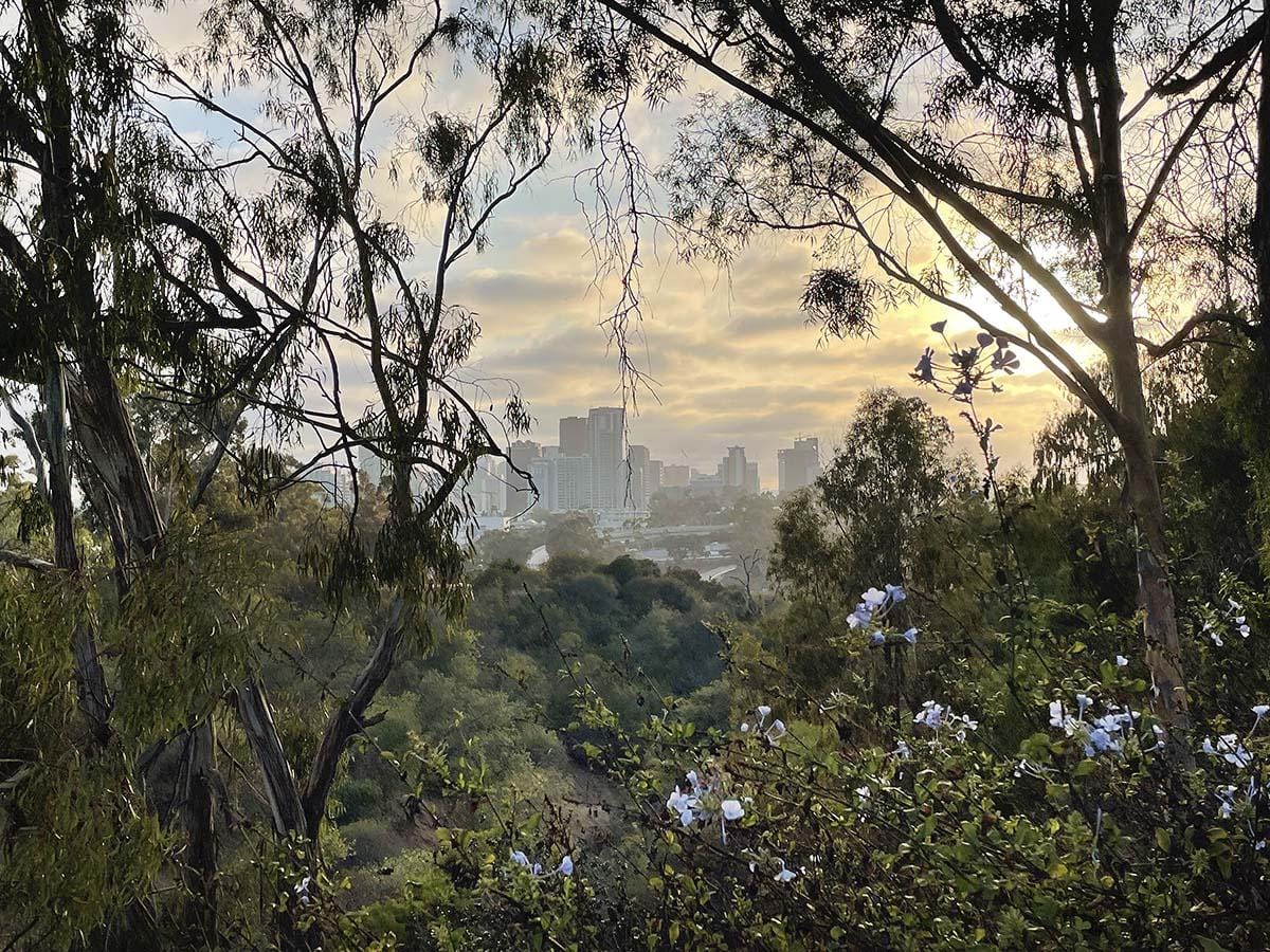 Golden Hill San Diego